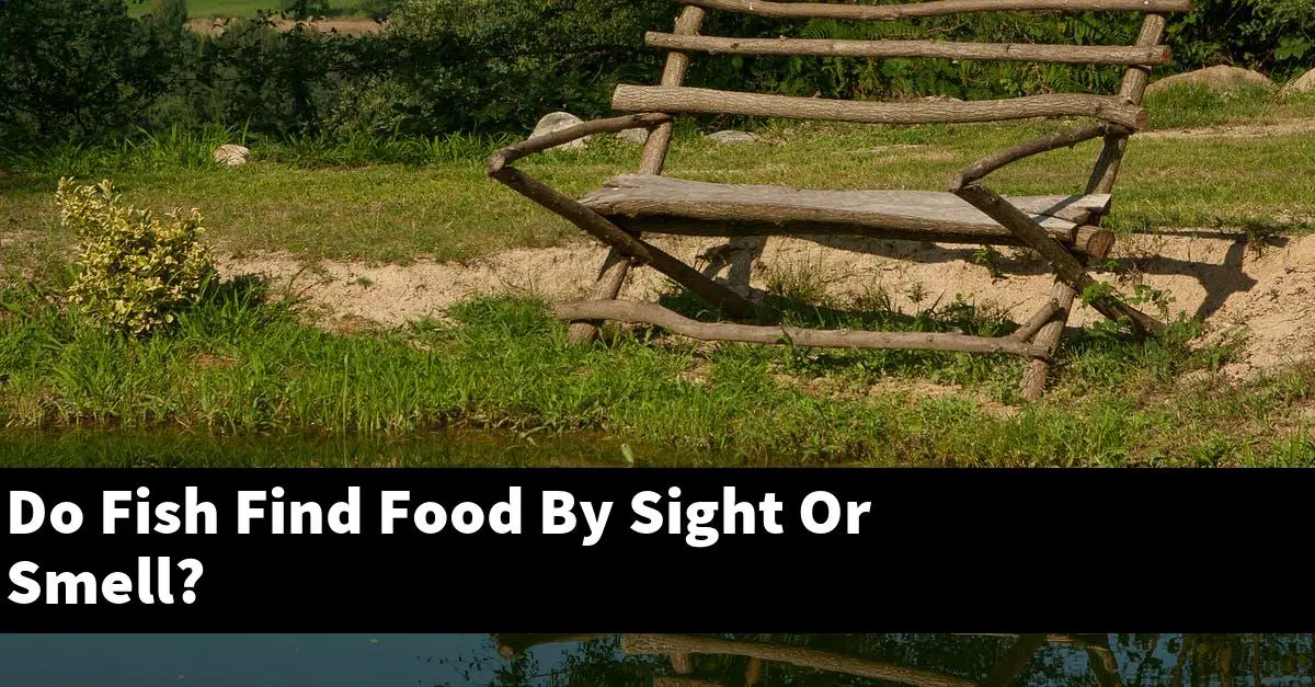 Do Fish Find Food By Sight Or Smell?