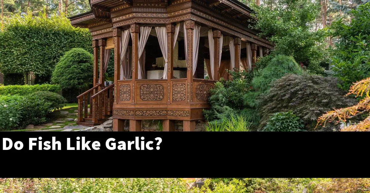 Do Fish Like Garlic?