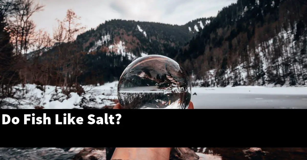 Do Fish Like Salt?