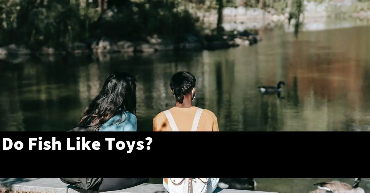 Do Fish Like Toys?