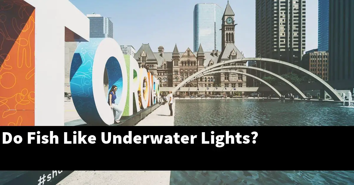 Do Fish Like Underwater Lights?