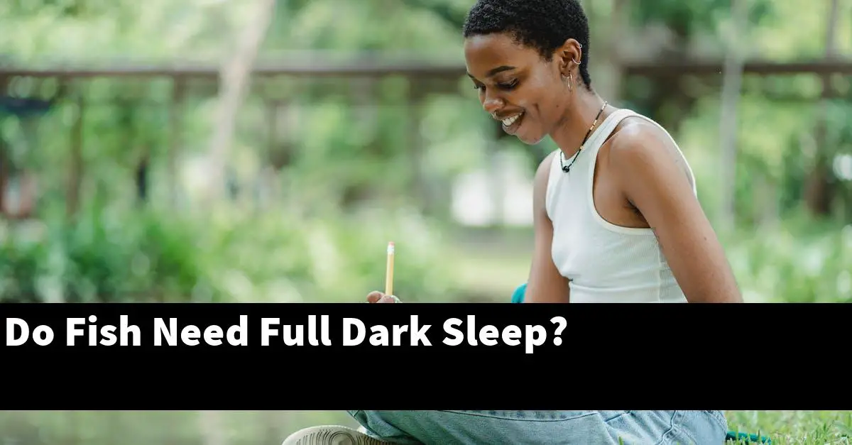 Do Fish Need Full Dark Sleep?