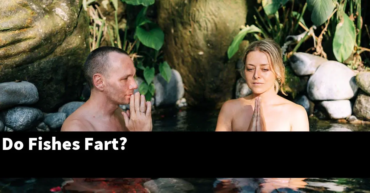 Do Fishes Fart?