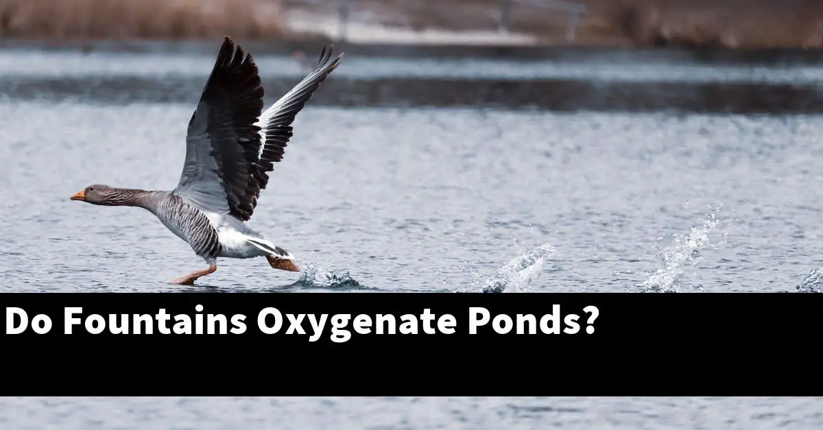 Do Fountains Oxygenate Ponds?