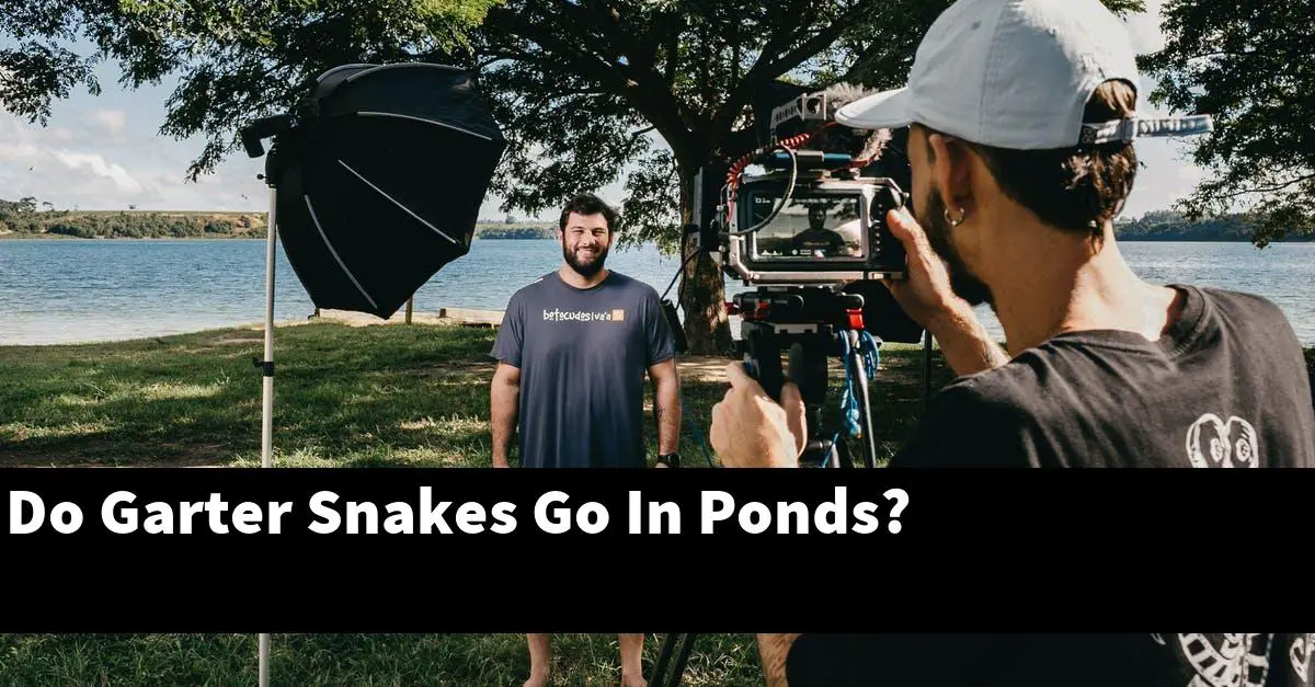 Do Garter Snakes Go In Ponds?