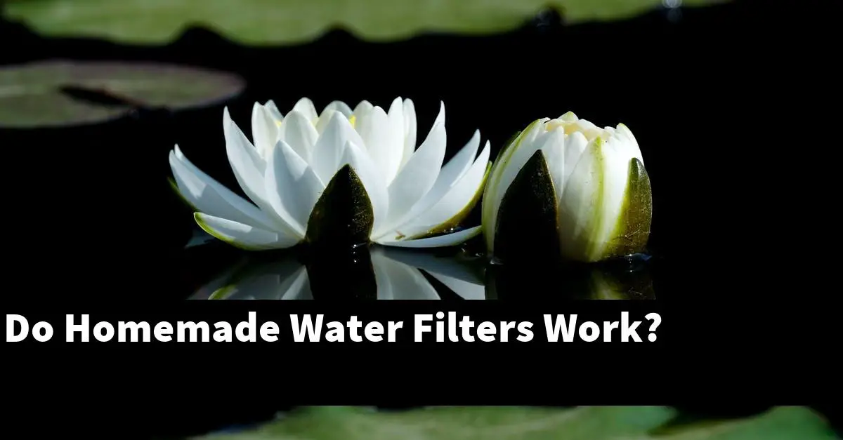 Do Homemade Water Filters Work?