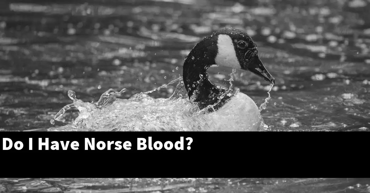 Do I Have Norse Blood?