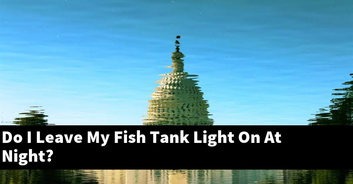 Do I Leave My Fish Tank Light On At Night?