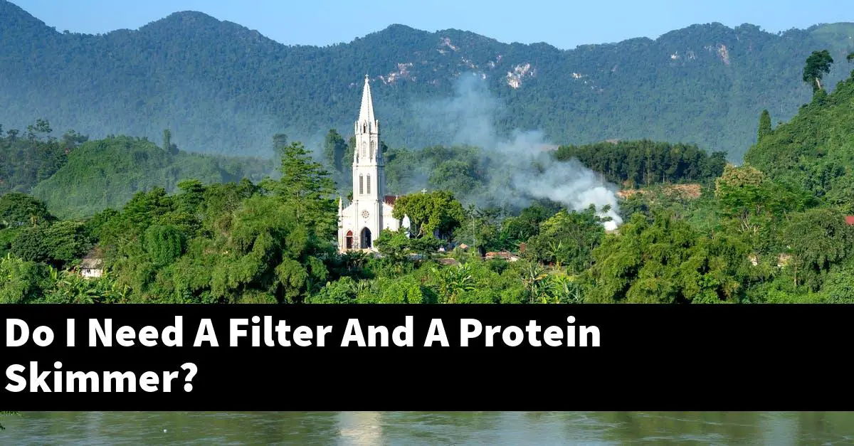 Do I Need A Filter And A Protein Skimmer?