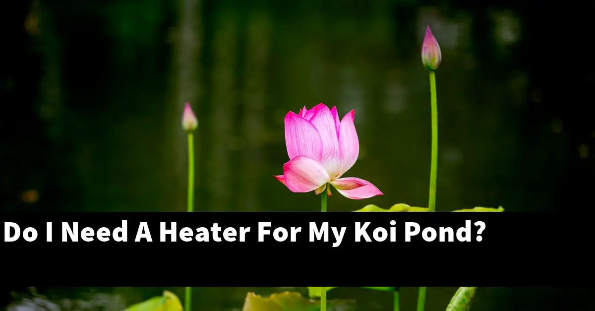 Do I Need A Heater For My Koi Pond?