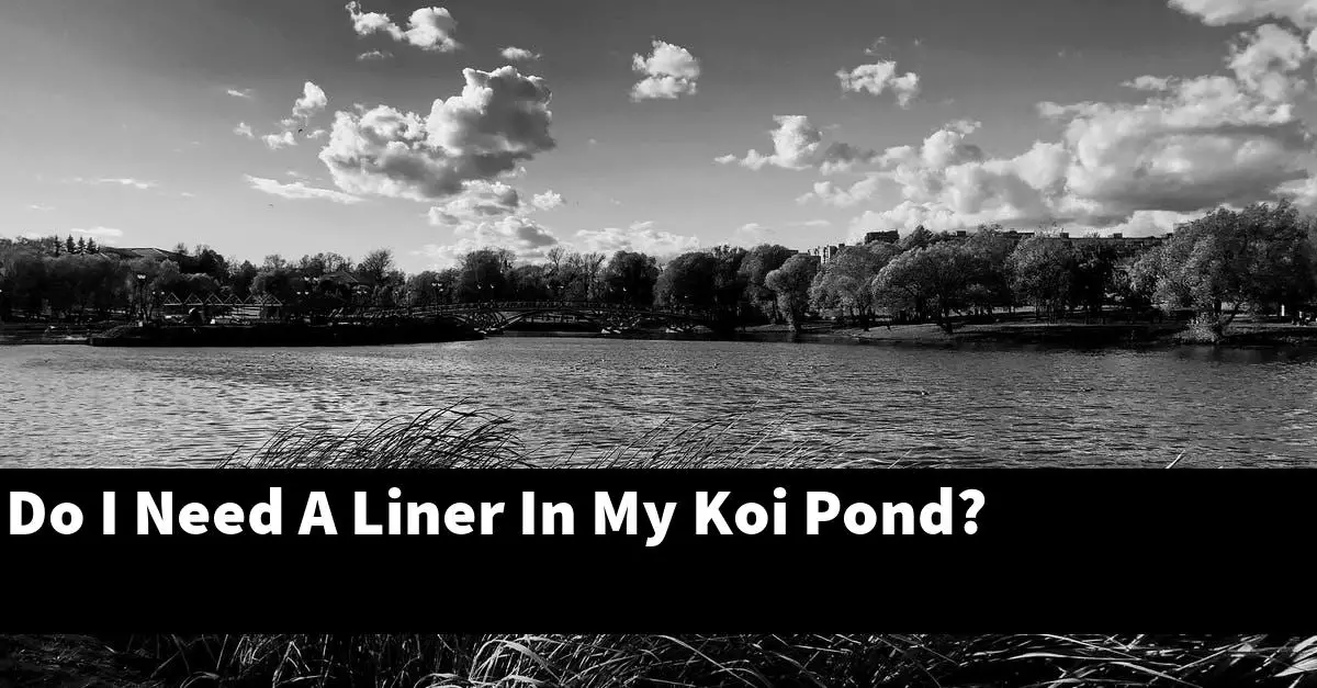 Do I Need A Liner In My Koi Pond?