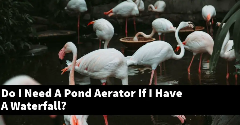 Do I Need A Pond Aerator If I Have A Waterfall? [2024 Guide] Gold Koi Fish