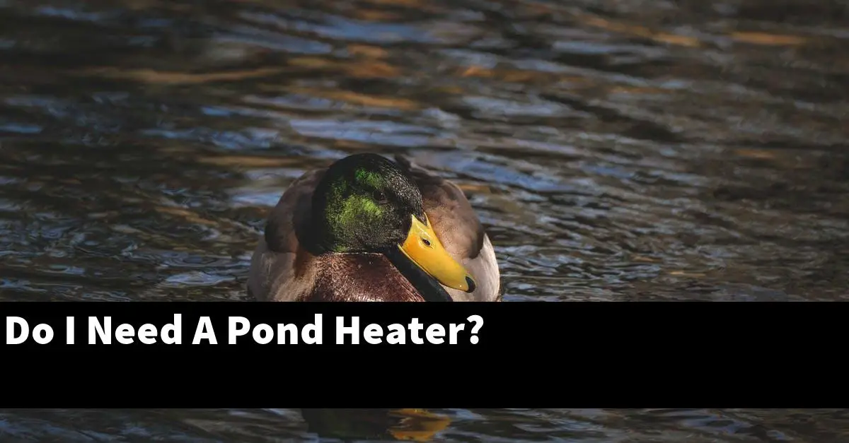 Do I Need A Pond Heater?