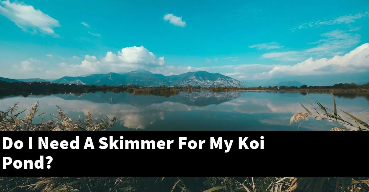Do I Need A Skimmer For My Koi Pond?