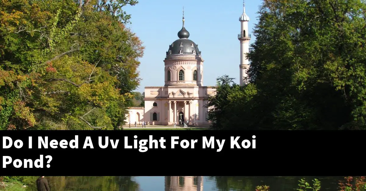 Do I Need A Uv Light For My Koi Pond?