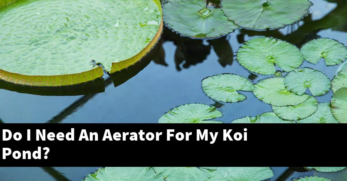 Do I Need An Aerator For My Koi Pond?