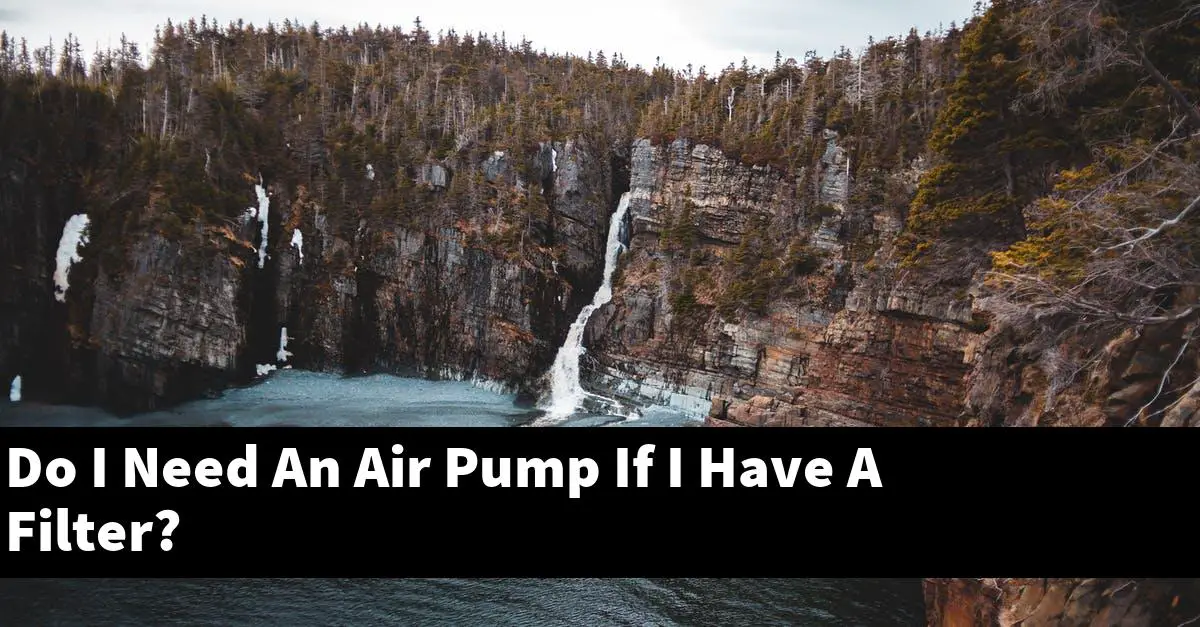 Do I Need An Air Pump If I Have A Filter?