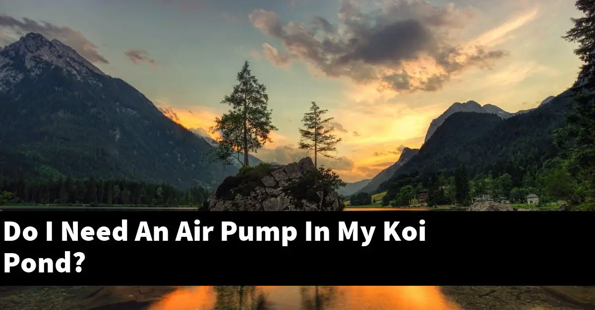 Do I Need An Air Pump In My Koi Pond?