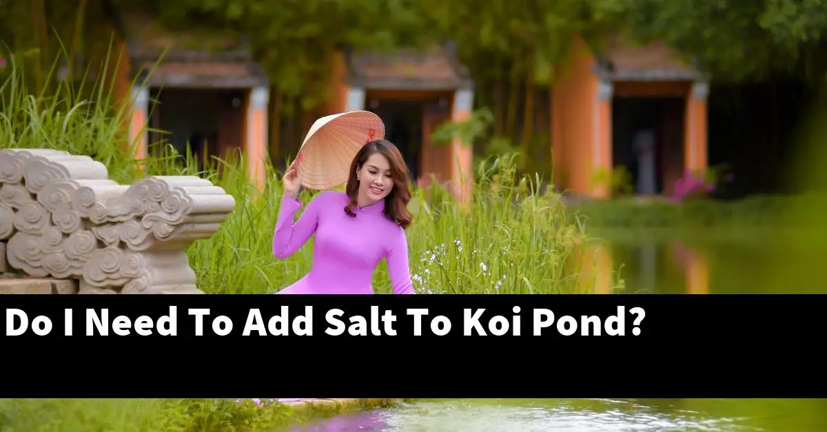 Do I Need To Add Salt To Koi Pond?