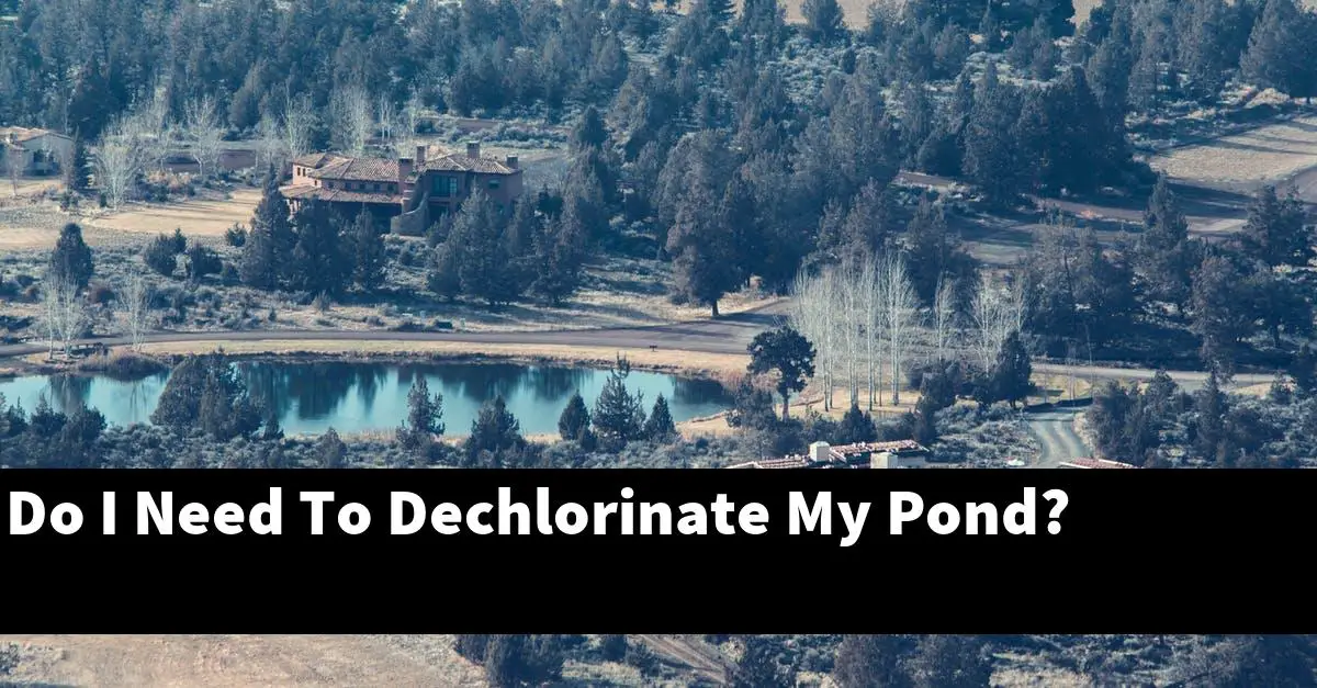Do I Need To Dechlorinate My Pond?