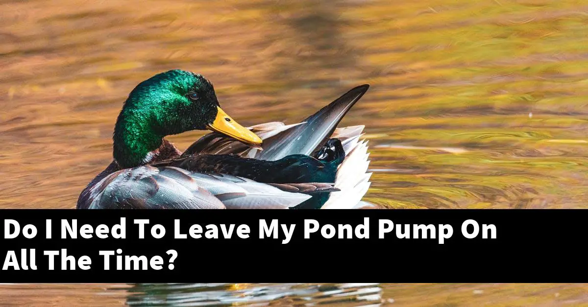 Do I Need To Leave My Pond Pump On All The Time?