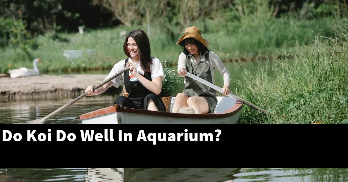 Do Koi Do Well In Aquarium?