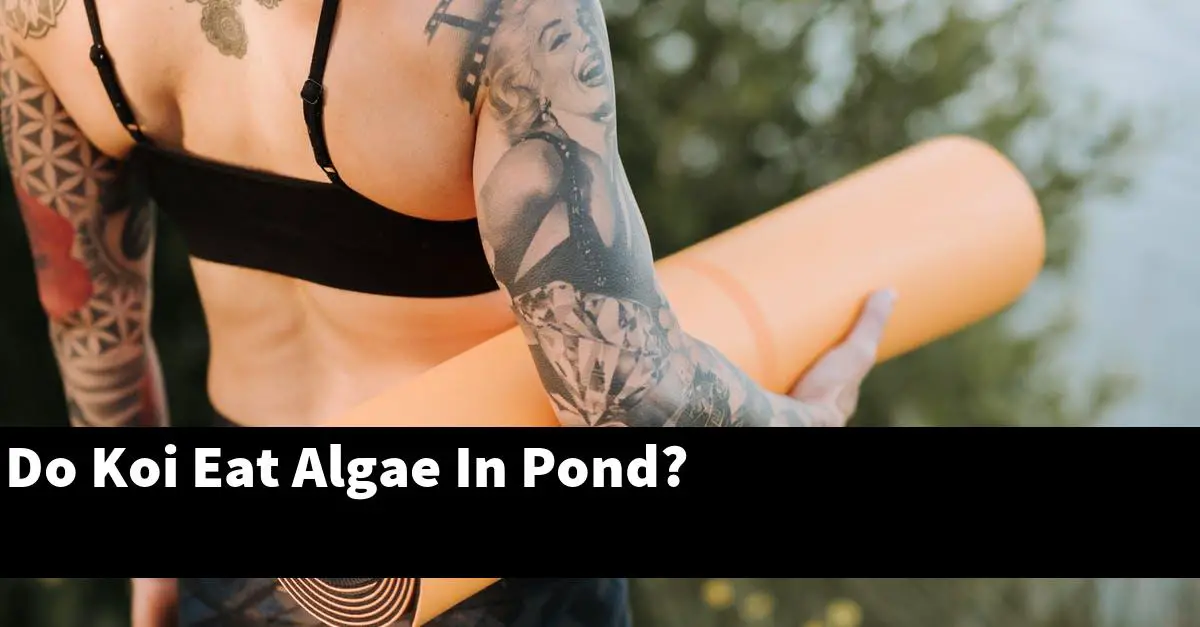 Do Koi Eat Algae In Pond?