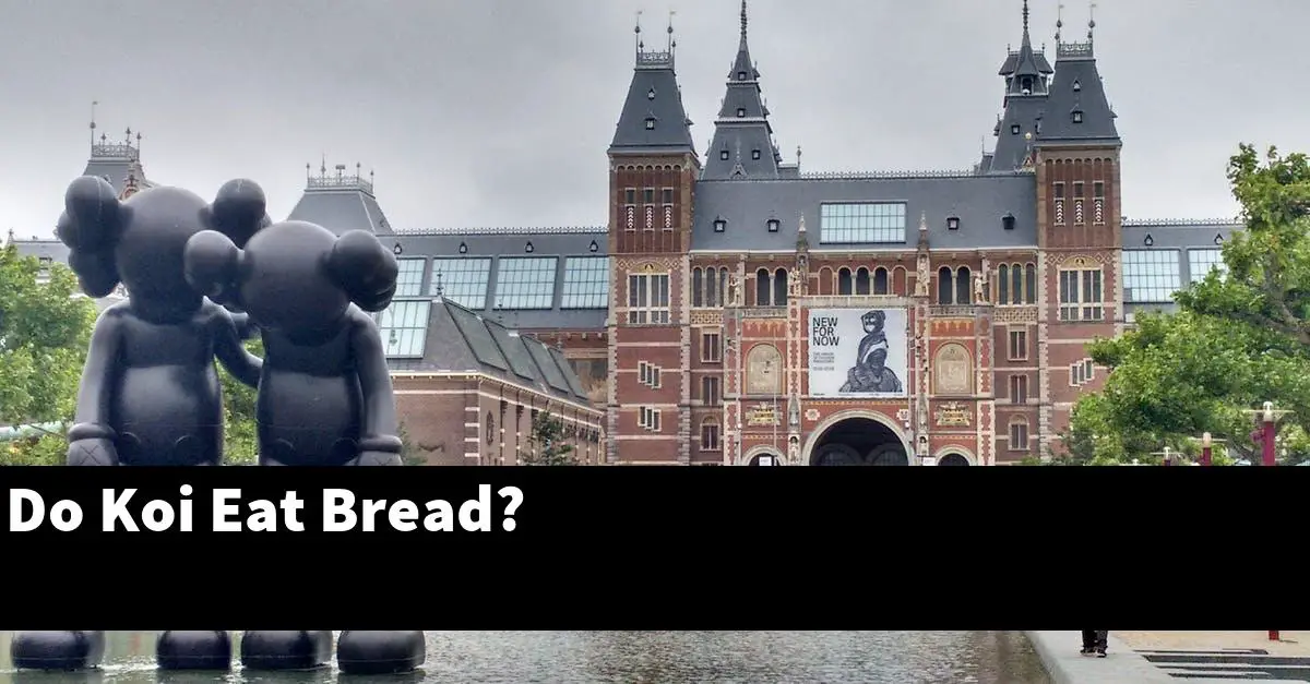 Do Koi Eat Bread?