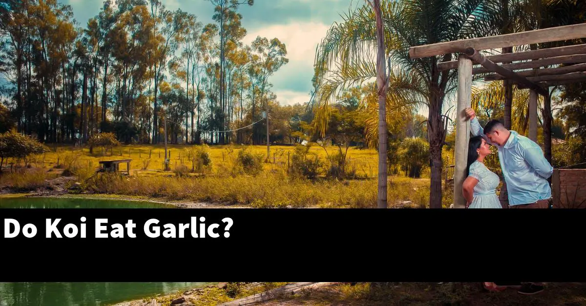 Do Koi Eat Garlic?