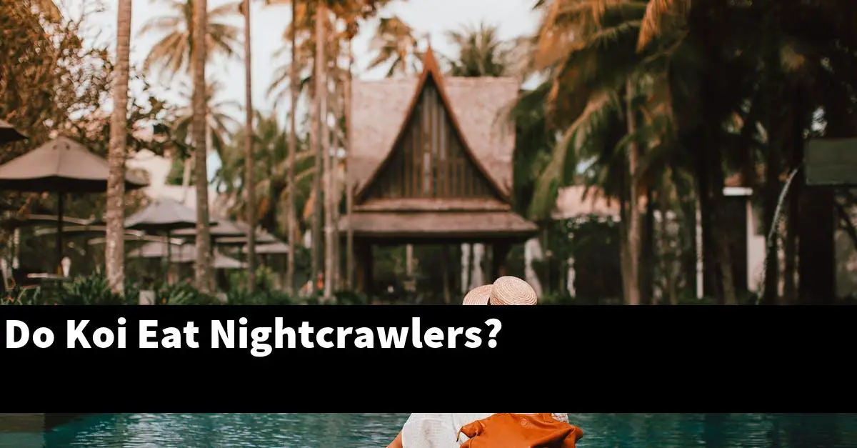Do Koi Eat Nightcrawlers?