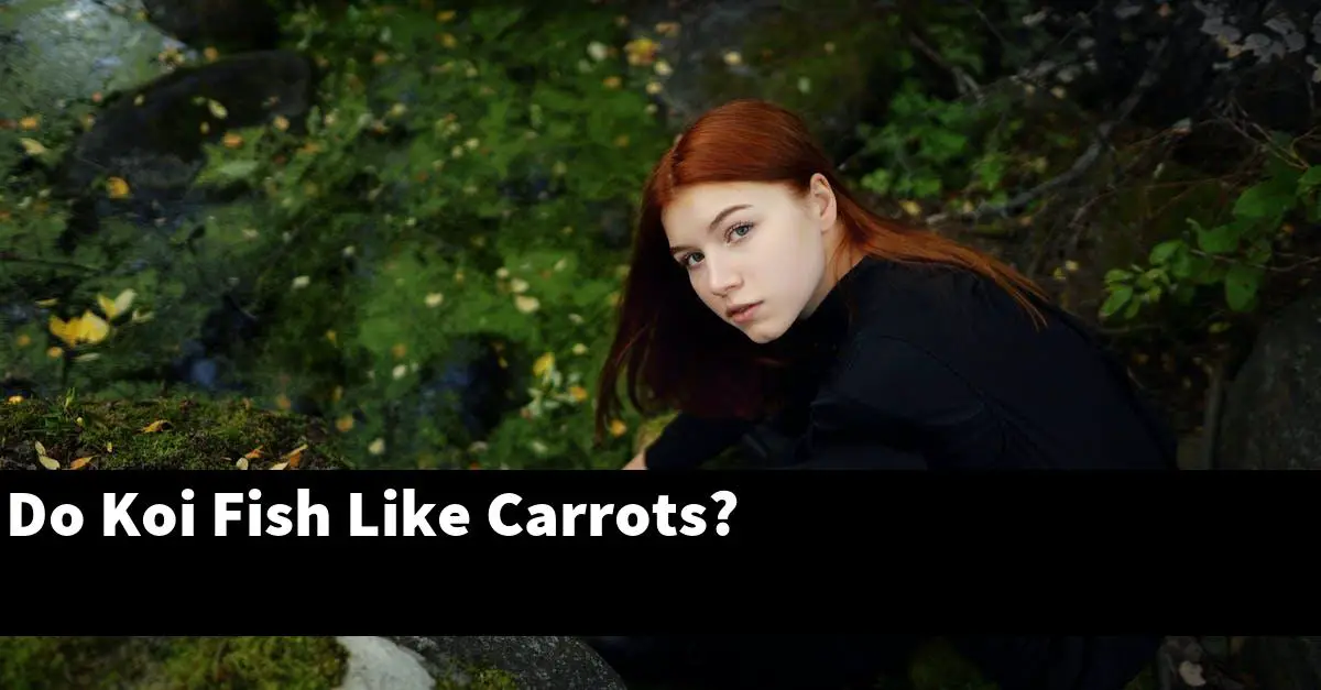 Do Koi Fish Like Carrots?