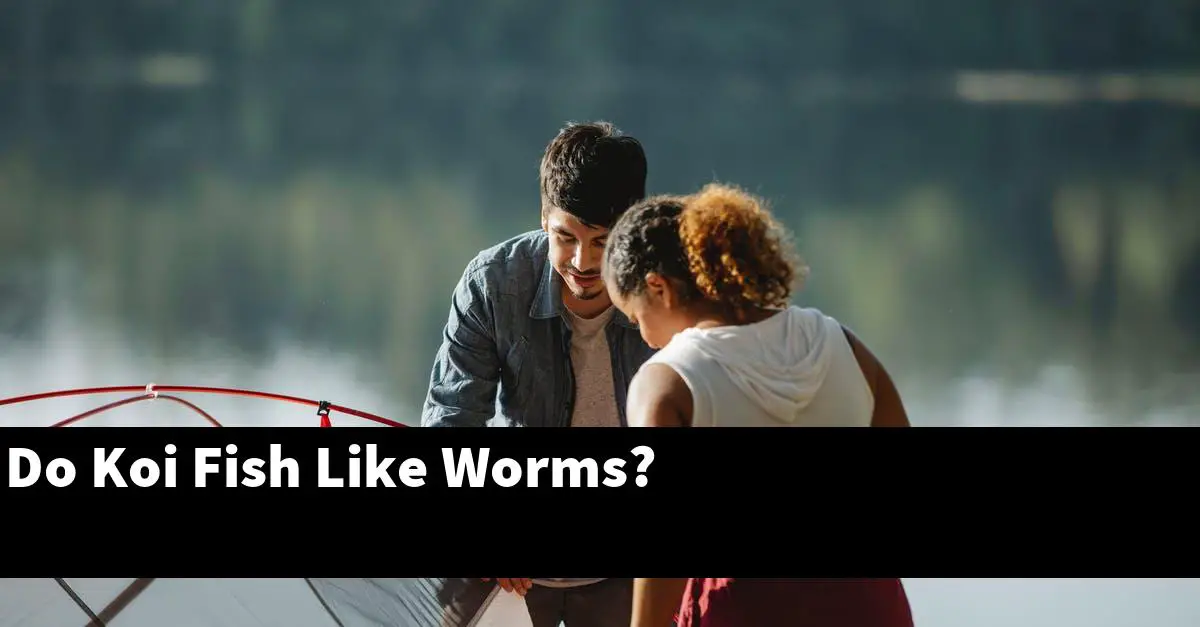 Do Koi Fish Like Worms?