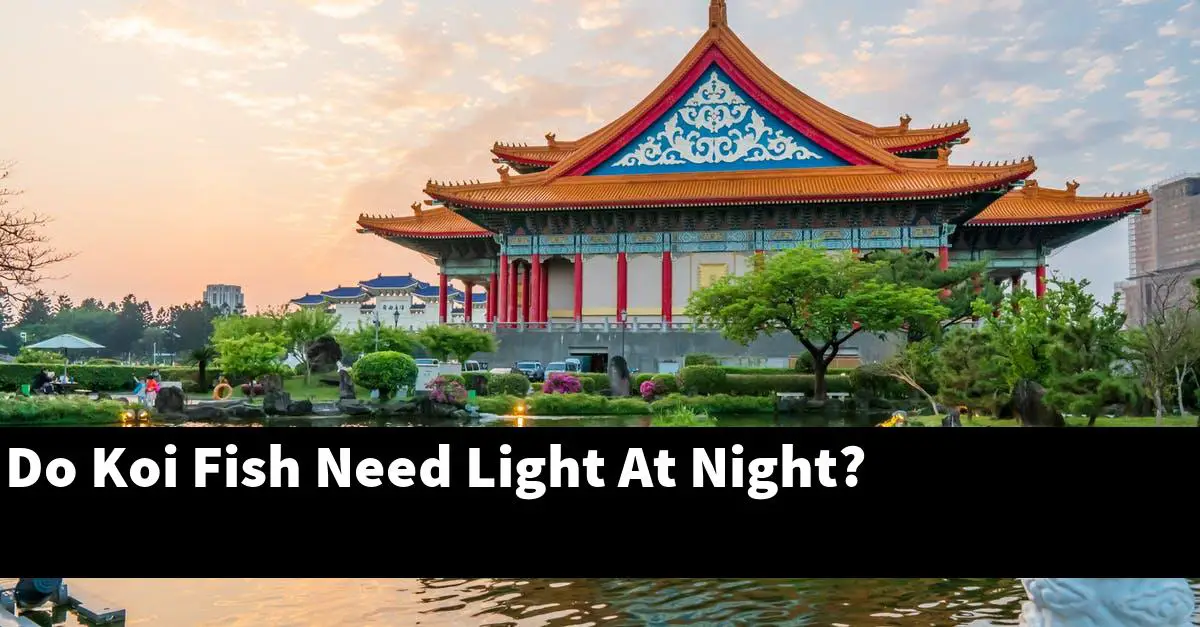 Do Koi Fish Need Light At Night?