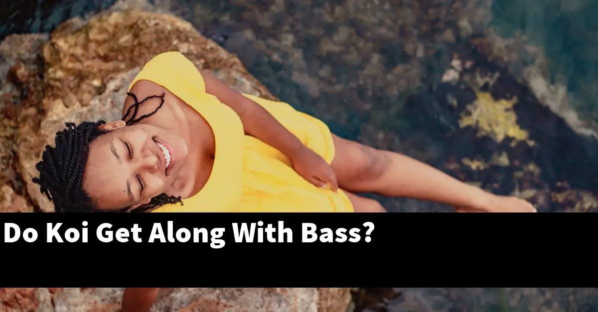 Do Koi Get Along With Bass?