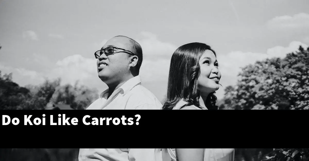 Do Koi Like Carrots?