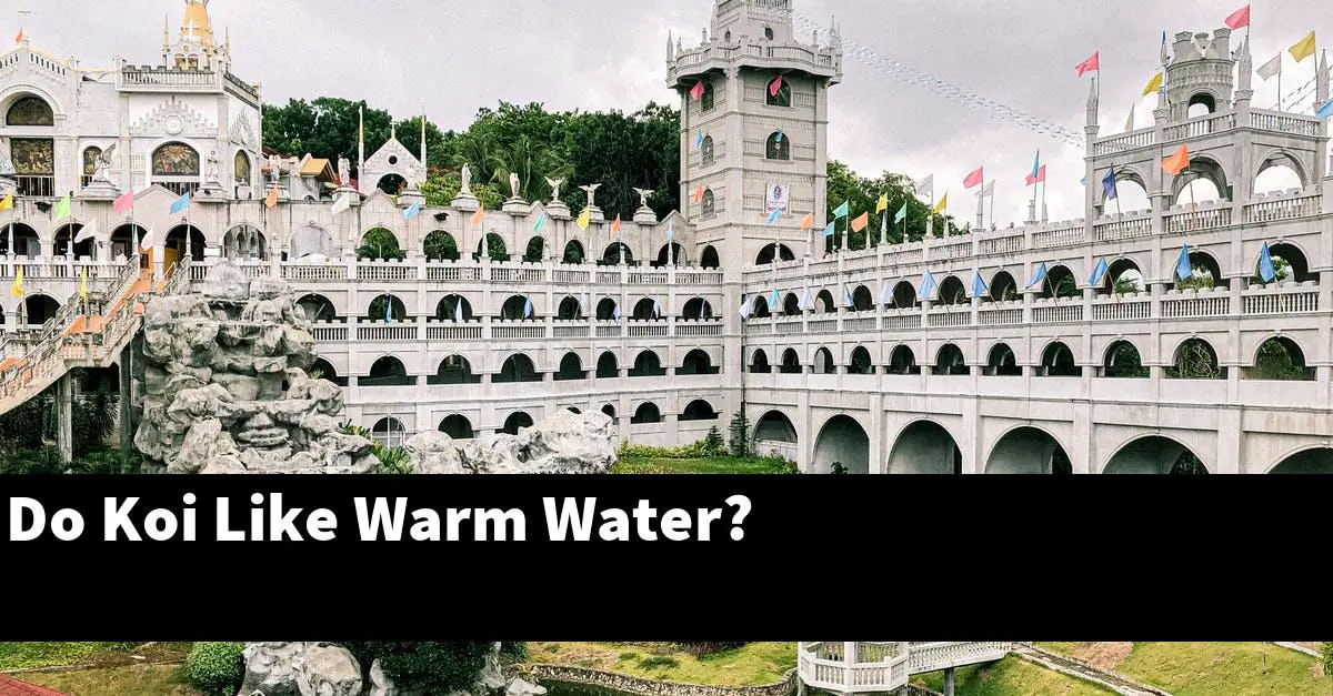 Do Koi Like Warm Water?