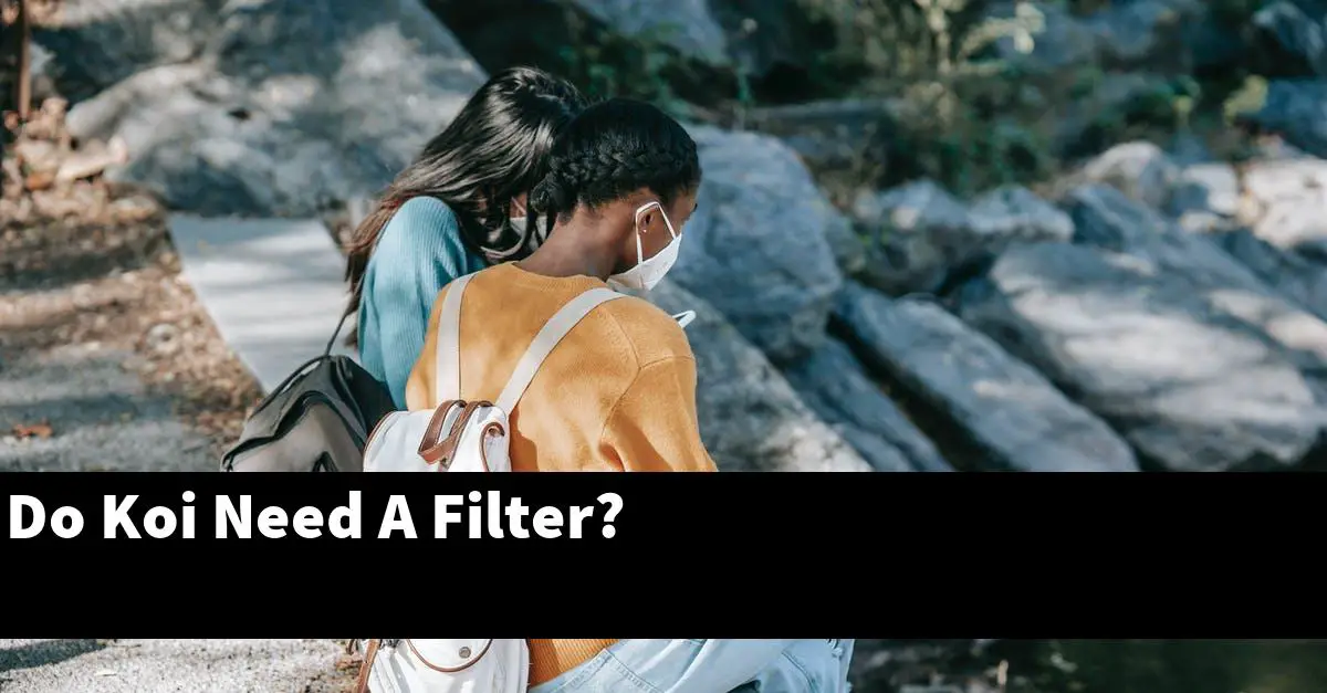 Do Koi Need A Filter?