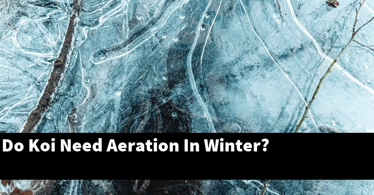 Do Koi Need Aeration In Winter?