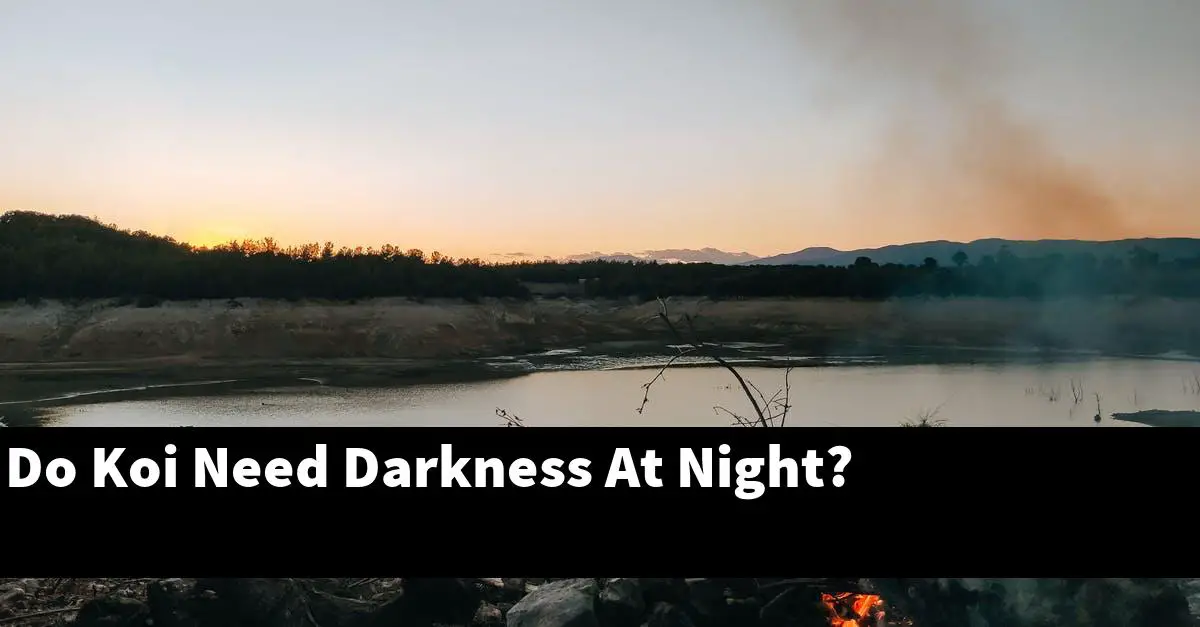 Do Koi Need Darkness At Night?