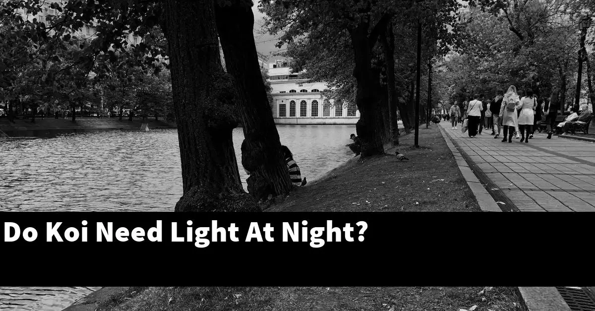 Do Koi Need Light At Night?