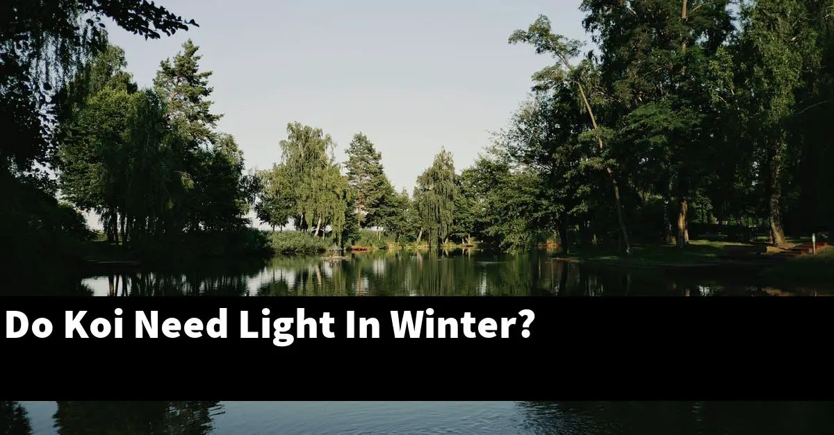 Do Koi Need Light In Winter?