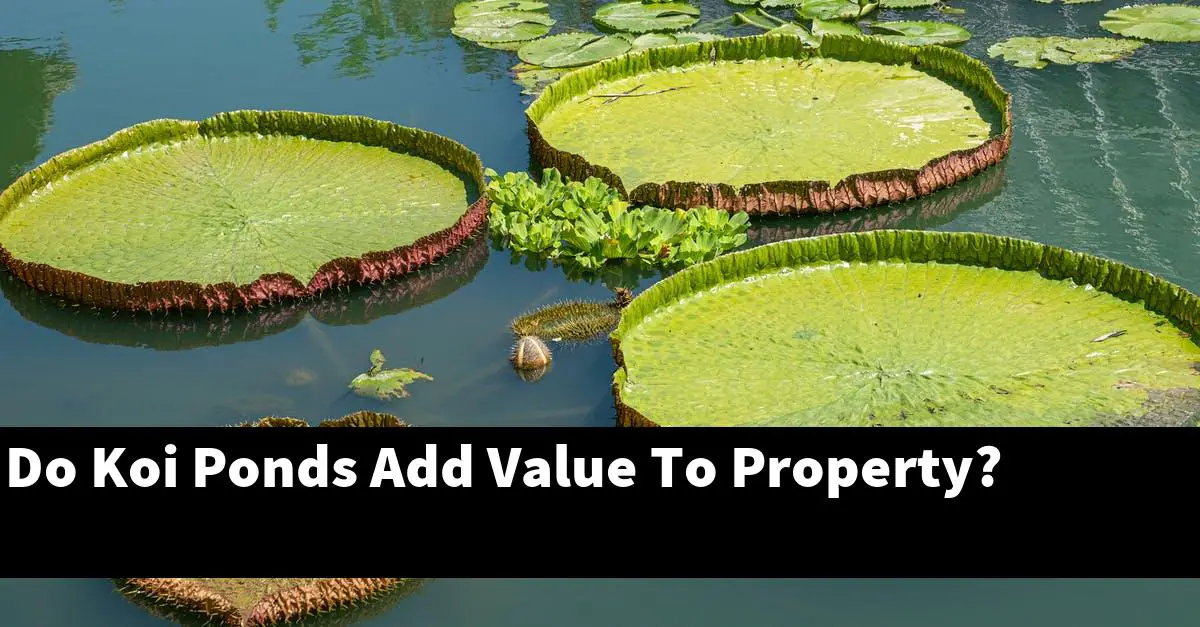 Do Koi Ponds Add Value To Property?