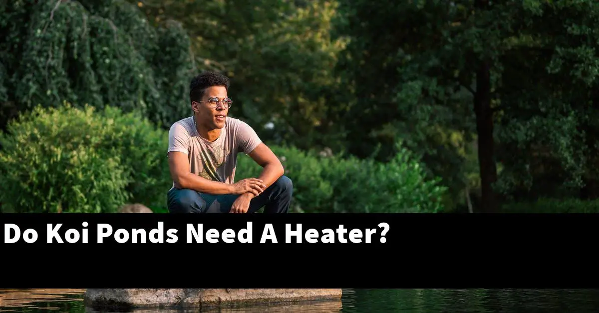 Do Koi Ponds Need A Heater?