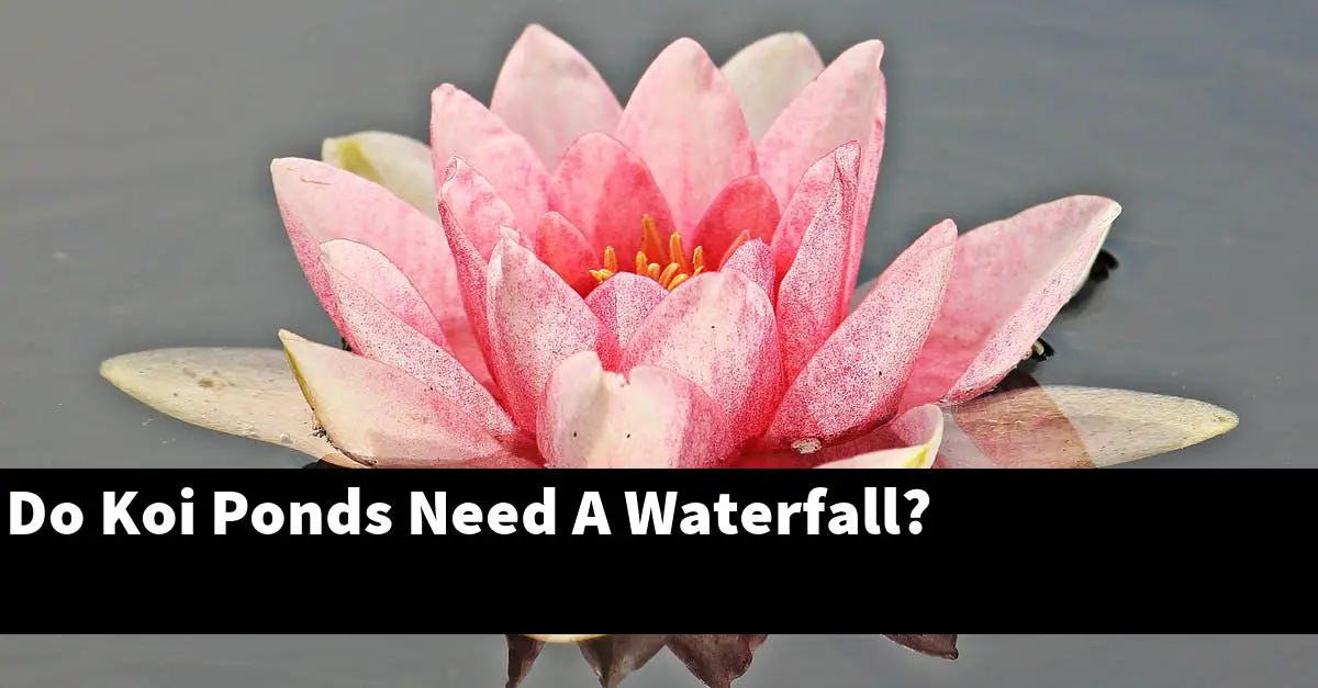 Do Koi Ponds Need A Waterfall?