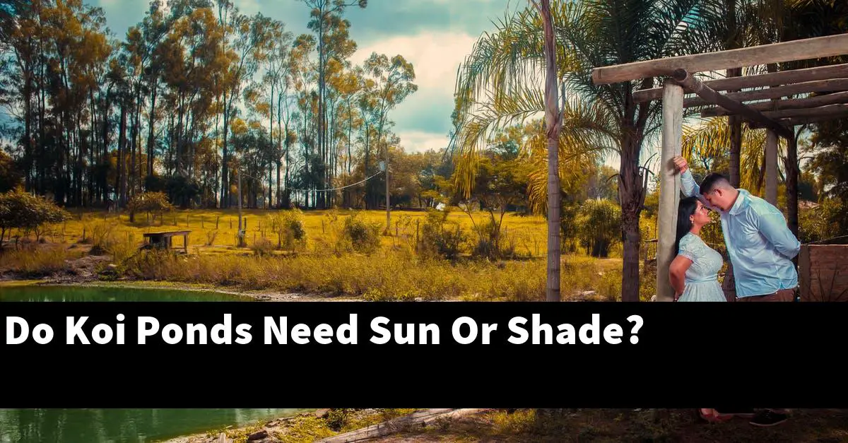 Do Koi Ponds Need Sun Or Shade?