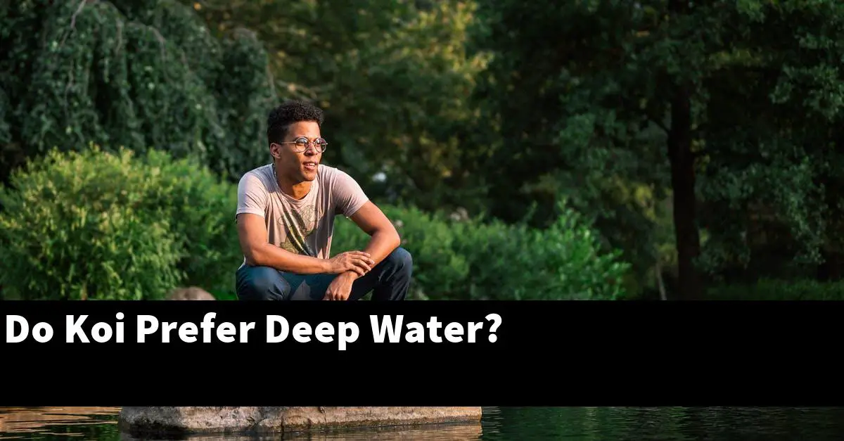 Do Koi Prefer Deep Water?
