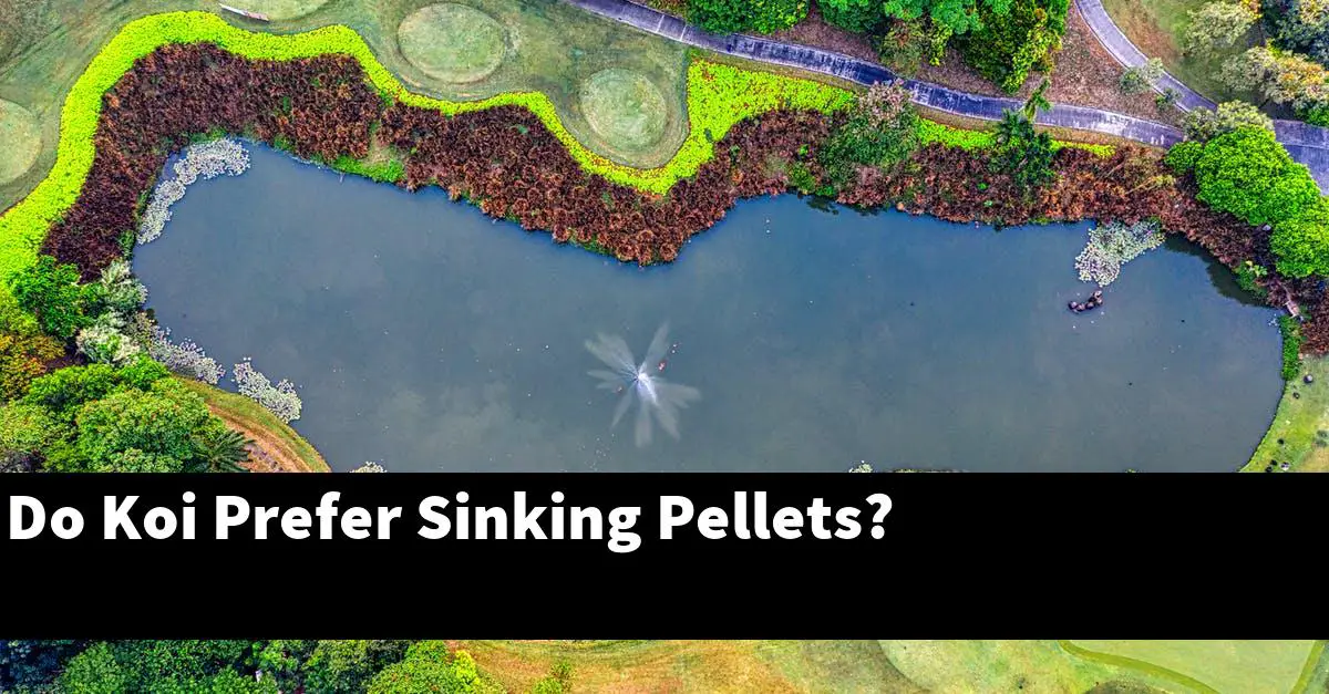 Do Koi Prefer Sinking Pellets?