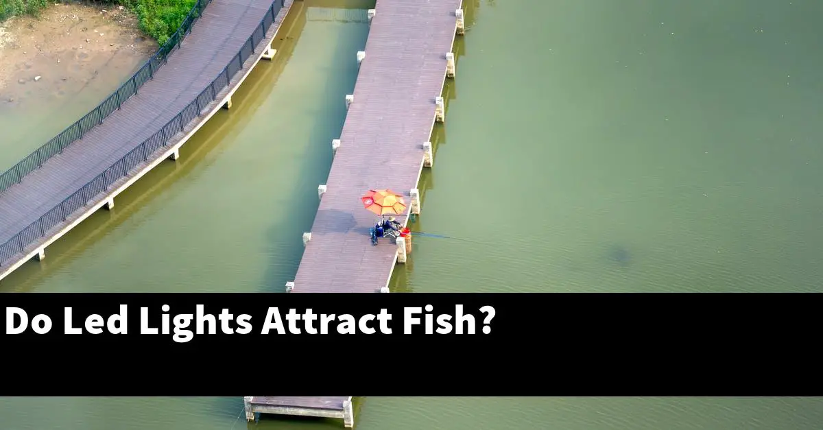 Do Led Lights Attract Fish?
