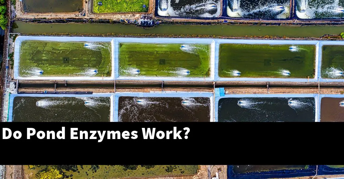 Do Pond Enzymes Work?