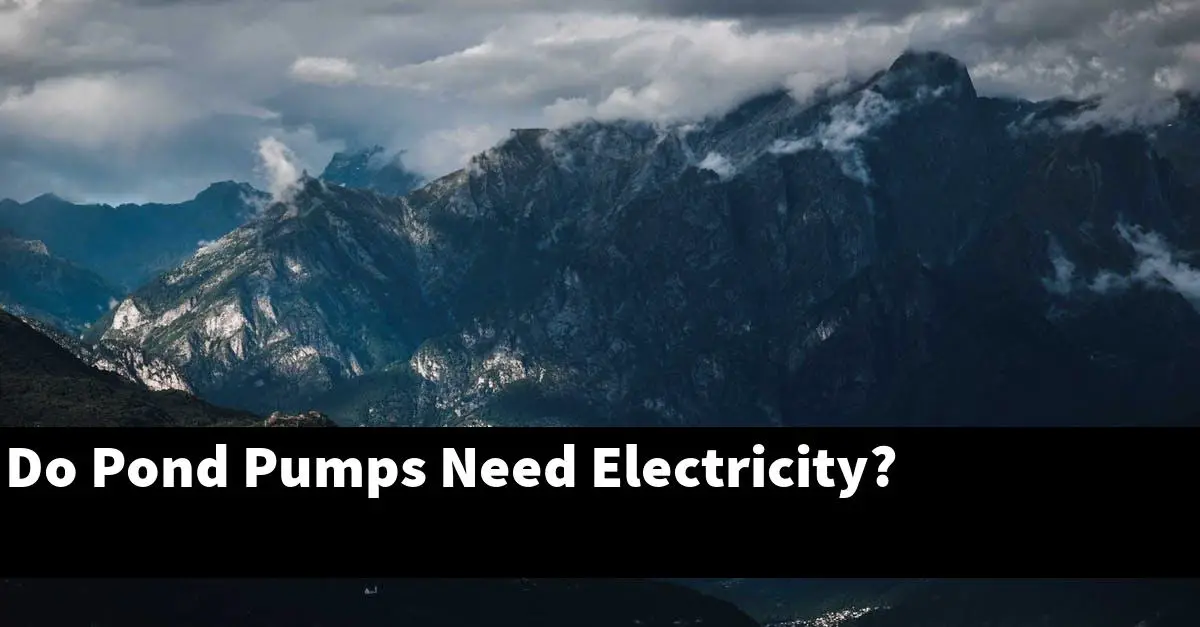 Do Pond Pumps Need Electricity?